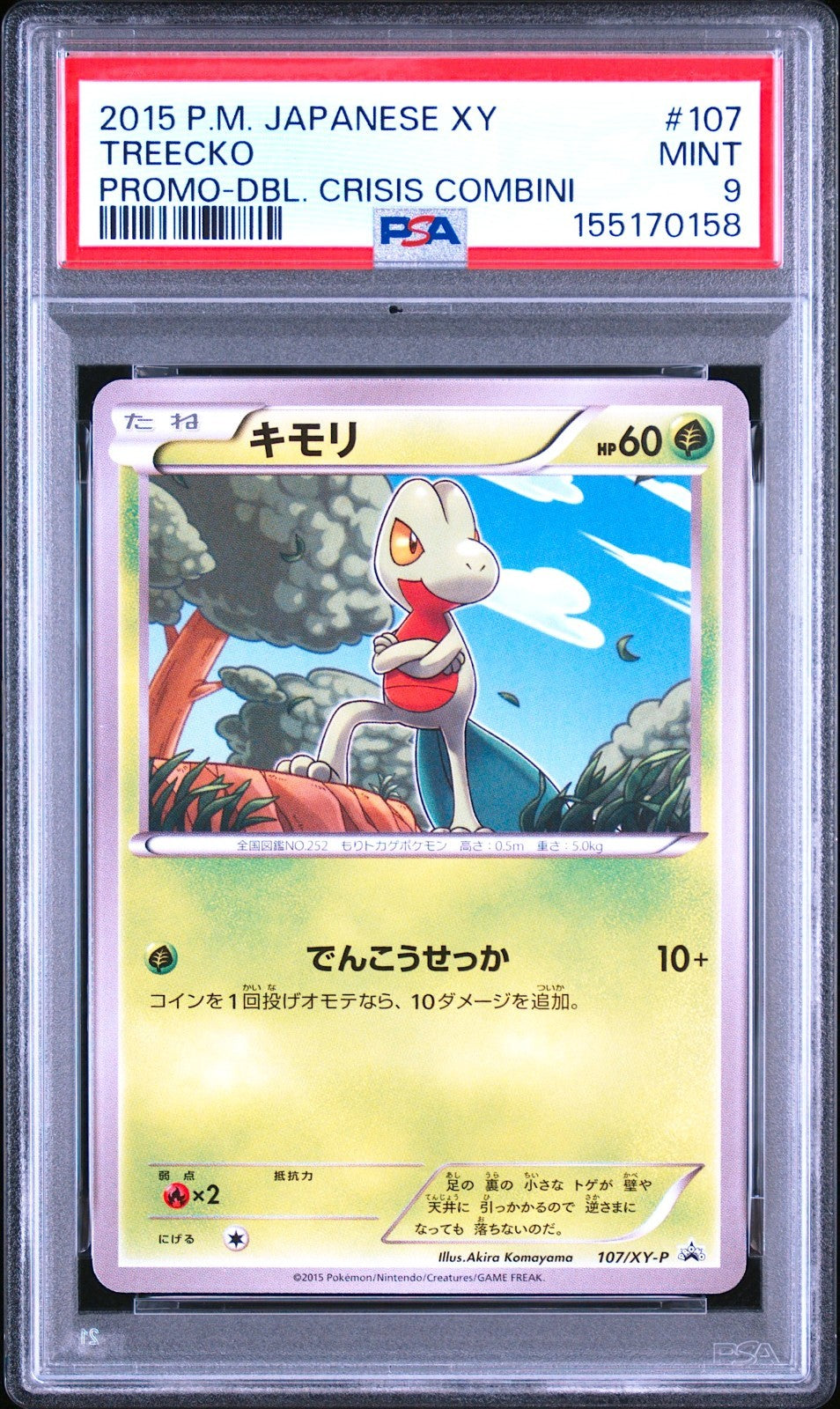 PSA 9 Treecko 107/XY-P DBL Crisis Combini Promo 2015 Pokemon Card Japanese0