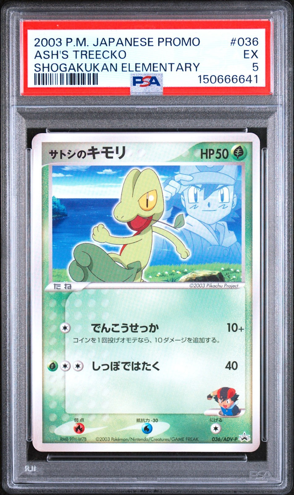 PSA 7 6 5 Mudkip 038/ADV-P Torchic 037 Treecko 036 Promo Pokemon Card Japanese1