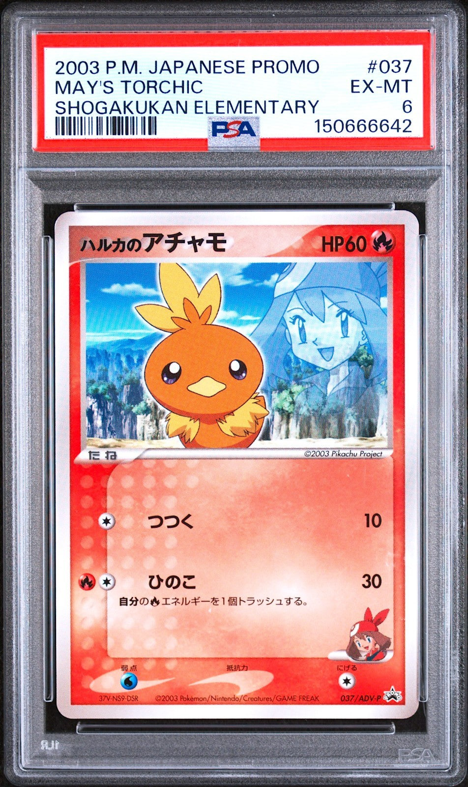 PSA 7 6 5 Mudkip 038/ADV-P Torchic 037 Treecko 036 Promo Pokemon Card Japanese3