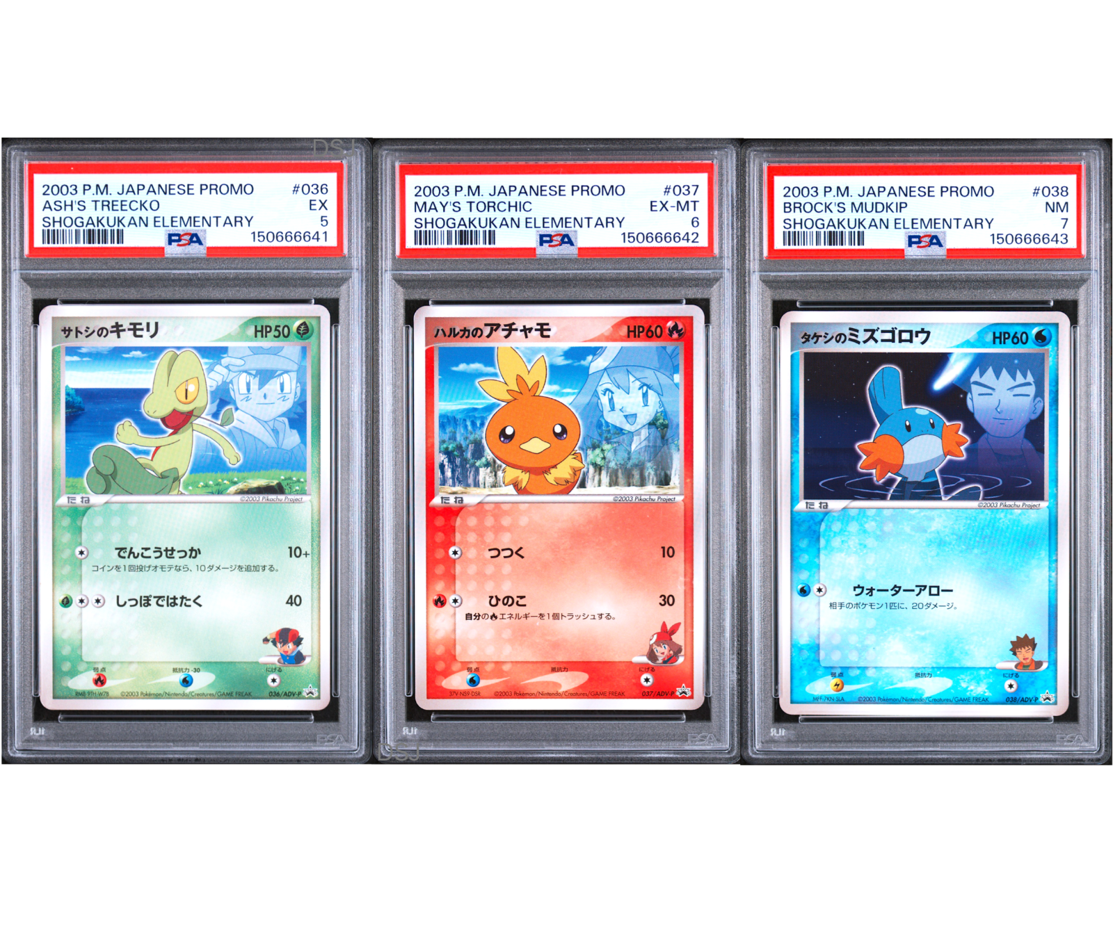 PSA 7 6 5 Mudkip 038/ADV-P Torchic 037 Treecko 036 Promo Pokemon Card Japanese0